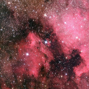 黑人初解禁黒人巨大マラ
